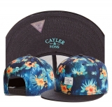 2023.7 Cayler&Sons Snapbacks Hats-TY (99)