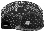 2023.7 Cayler&Sons Snapbacks Hats-TY (48)