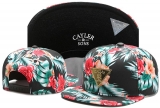 2023.7 Cayler&Sons Snapbacks Hats-TY (102)