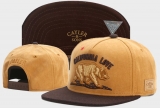 2023.7 Cayler&Sons Snapbacks Hats-TY (87)