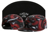 2023.7 Cayler&Sons Snapbacks Hats-TY (54)