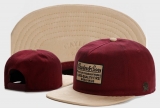 2023.7 Cayler&Sons Snapbacks Hats-TY (83)