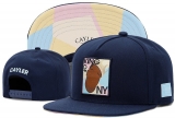 2023.7 Cayler&Sons Snapbacks Hats-TY (61)