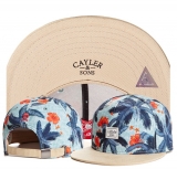 2023.7 Cayler&Sons Snapbacks Hats-TY (97)