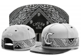 2023.7 Cayler&Sons Snapbacks Hats-TY (88)