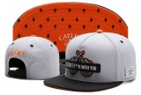 2023.7 Cayler&Sons Snapbacks Hats-TY (89)