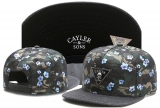 2023.7 Cayler&Sons Snapbacks Hats-TY (104)