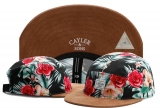 2023.7 Cayler&Sons Snapbacks Hats-TY (90)