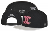 2023.7 Cayler&Sons Snapbacks Hats-TY (172)
