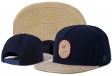 2023.7 Cayler&Sons Snapbacks Hats-TY (186)