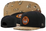 2023.7 Cayler&Sons Snapbacks Hats-TY (200)