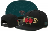 2023.7 Cayler&Sons Snapbacks Hats-TY (184)