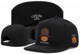 2023.7 Cayler&Sons Snapbacks Hats-TY (171)