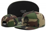 2023.7 Cayler&Sons Snapbacks Hats-TY (157)