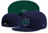 2023.7 Cayler&Sons Snapbacks Hats-TY (148)