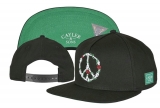 2023.7 Cayler&Sons Snapbacks Hats-TY (187)
