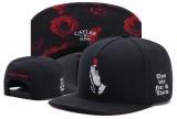 2023.7 Cayler&Sons Snapbacks Hats-TY (245)