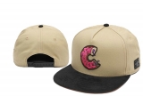 2023.7 Cayler&Sons Snapbacks Hats-TY (225)
