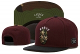 2023.7 Cayler&Sons Snapbacks Hats-TY (247)