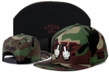 2023.7 Cayler&Sons Snapbacks Hats-TY (224)