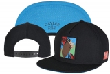 2023.7 Cayler&Sons Snapbacks Hats-TY (213)