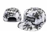 2023.7 Cayler&Sons Snapbacks Hats-TY (272)