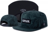 2023.7 Cayler&Sons Snapbacks Hats-TY (291)