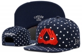 2023.7 Cayler&Sons Snapbacks Hats-TY (243)