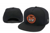 2023.7 Cayler&Sons Snapbacks Hats-TY (222)