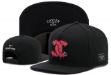 2023.7 Cayler&Sons Snapbacks Hats-TY (248)