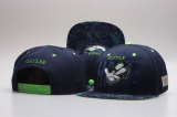 2023.7 Cayler&Sons Snapbacks Hats-YP (355)