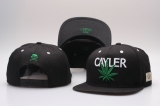 2023.7 Cayler&Sons Snapbacks Hats-YP (367)