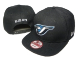 2023.7 NY Snapbacks Hats-DD (31)