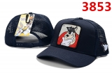 2023.7 Perfect Looney Tunes Snapbacks Hats (3)