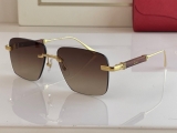 2023.7 Cartier Sunglasses Original quality-QQ (1063)