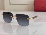 2023.7 Cartier Sunglasses Original quality-QQ (1058)