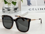 2023.7 Celine Sunglasses Original quality-QQ (64)