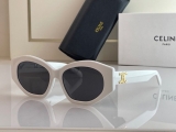 2023.7 Celine Sunglasses Original quality-QQ (24)