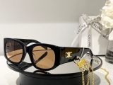 2023.7 Celine Sunglasses Original quality-QQ (75)
