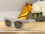 2023.7 Loewe Sunglasses Original quality-QQ (34)