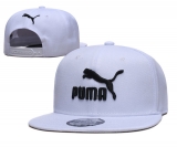 2023.9 Puma Snapbacks Hats-TX (18)