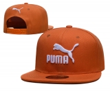 2023.9 Puma Snapbacks Hats-TX (16)