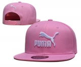 2023.9 Puma Snapbacks Hats-TX (19)