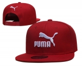 2023.9 Puma Snapbacks Hats-TX (20)