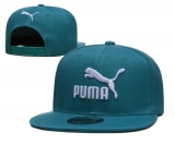 2023.9 Puma Snapbacks Hats-TX (23)