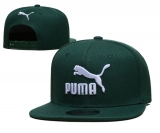 2023.9 Puma Snapbacks Hats-TX (17)