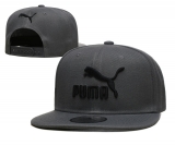 2023.9 Puma Snapbacks Hats-TX (22)