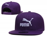 2023.9 Puma Snapbacks Hats-TX (15)