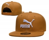 2023.9 Puma Snapbacks Hats-TX (21)