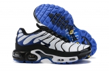 2023.10 Nike Air Max AAA TN Men Shoes-FX (83)